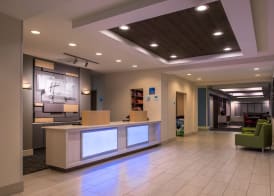 Holiday Inn Express & Suites TAMPA-ANDERSON RD/VETERANS EXP by IHG 2
