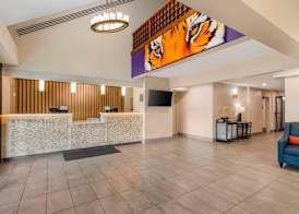 Comfort Inn & Suites Clemson - University Area 3