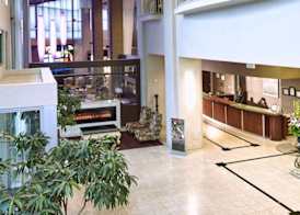 Executive Plaza Hotel & Conference Centre, Metro Vancouver 3
