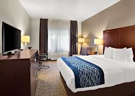 Comfort Inn Lacey - Olympia 5