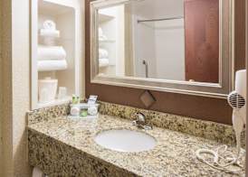 Holiday Inn Express & Suites I-26 & US 29 AT WESTGATE MALL by IHG 2