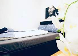 Cozy 5BR Apt 10min Walk to Augarten 5
