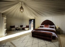 Kalyptus Luxury Camp 4