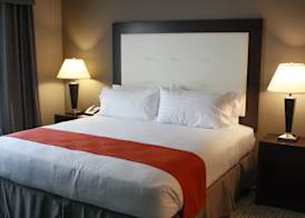 Holiday Inn & Suites DAVENPORT by IHG 5