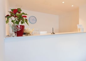 Hotel Triester 4