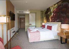 Douro Castelo Signature Hotel & Spa 4