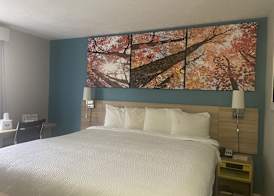 Days Inn by Wyndham Warrensburg 5