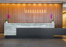 C. Baldwin, Curio Collection by Hilton 4
