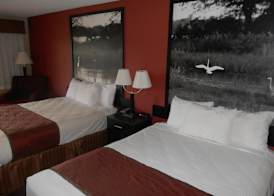 AmeriStay Inn St Joseph 3