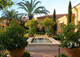 The Resort at Pelican Hill 5