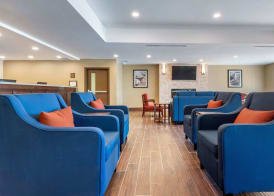 Comfort Inn & Suites 4