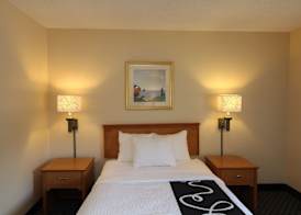 La Quinta by Wyndham Tampa Fairgrounds - Casino 5