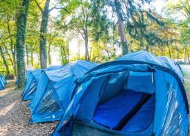 Haro Camping 5