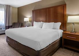 Comfort Inn Moline - Quad Cities 5