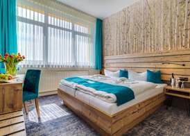 Panorama Ferien Hotel Harz 3