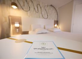ibis Styles Bordeaux Begles Arena 3