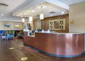 Comfort Inn & Suites near Danville Mall 3