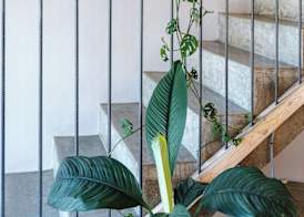 Organic Stay Guesthouse 4