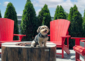 Home2 Suites By Hilton Huntsville 3