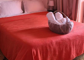 B&B Ma Maison 5