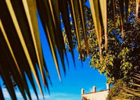 Agroturismo Son Boronat 2