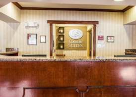 Comfort Suites Canton - Detroit 3