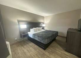 Econo Lodge St. Petersburg Central 2