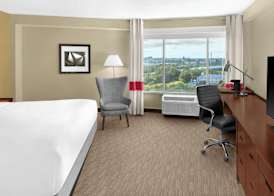 Four Points by Sheraton Orlando International Drive 5