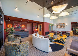 Niche Living Ballsbridge 4