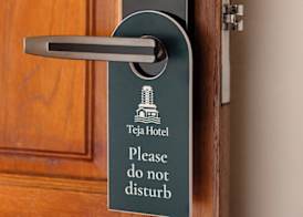 Teja Hotel 4