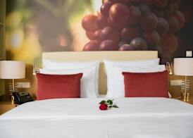 Douro Castelo Signature Hotel & Spa 5