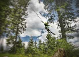 Gasthof Andrelwirt Rauris 4