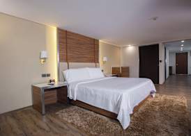 Holiday Inn MEXICO ZONA CENTRO by IHG 5