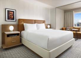 Hyatt Regency Times Square 3