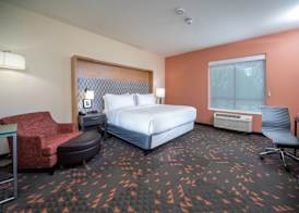 Holiday Inn ST. LOUIS - CREVE COEUR by IHG 5