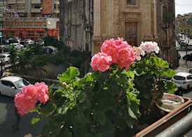 Hotel Valentino 3