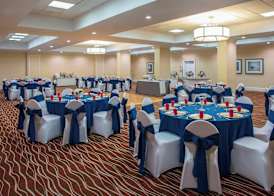 Four Points by Sheraton Suites Tampa Airport Westshore 3