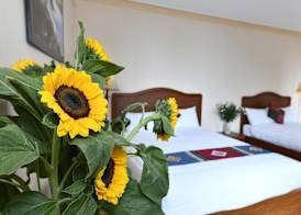 Sapa Symphony Hotel 5