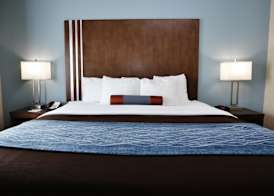 Best Western Plus Washington Hotel 5