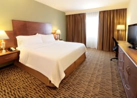 Holiday Inn MONTERREY NORTE by IHG 5
