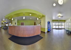 City Express by Marriott Orlando International Drive 3