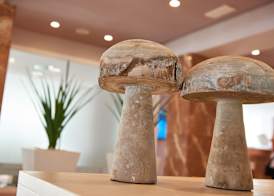 Protur Bonamar Hotel - Adults Only 3
