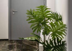WeLive Trapani - luxury apartments 2