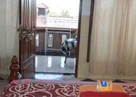Harmony Guest House 5