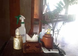 Puri Bagus Candidasa 2