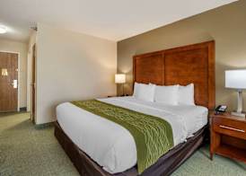 Comfort Inn Muscatine near Hwy 61 5