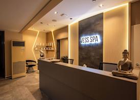 Vess Hotel 2