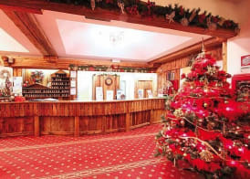 Hotel il Caminetto Sport 2