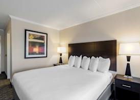 Best Western St Louis Kirkwood Route 66 5