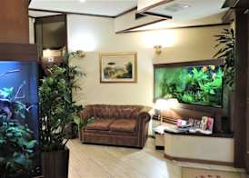 Hotel Accursio 3